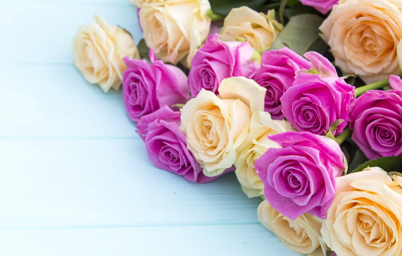 Photo wallpaper flowers, yellow, pink, bouquet, Roses, buds