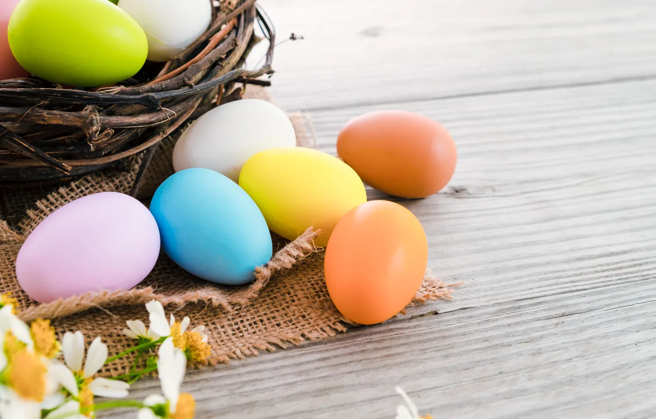 Photo wallpaper flowers, eggs, spring, colorful, Easter, flowers, spring, Easter