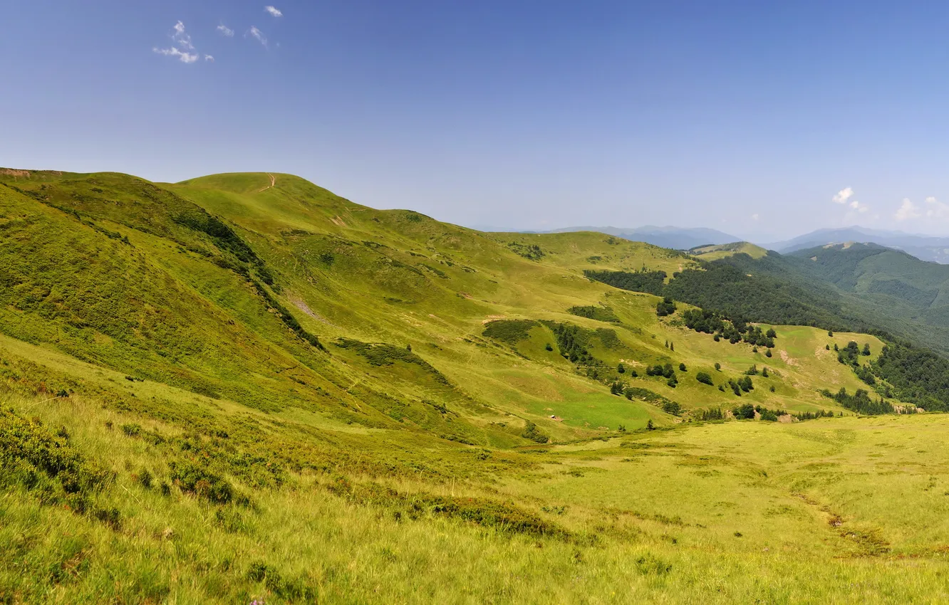 Photo wallpaper grass, landscape, mountains, nature, Ukraine, Carpathians