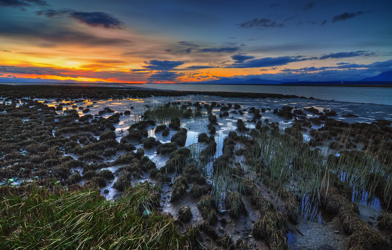 Photo wallpaper SEA, GRASS, HORIZON, The SKY, The SUN, CLOUDS, SUNSET, COAST