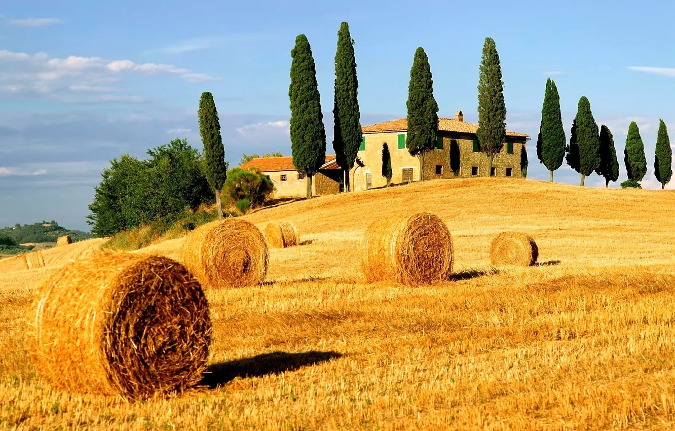 Photo wallpaper village, home, hay