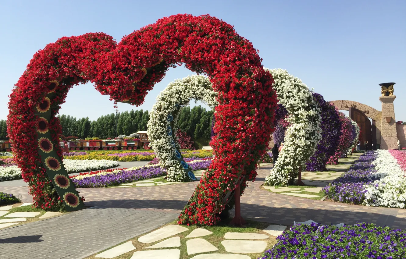 Photo wallpaper flowers, heart, Dubai, Dubai, Emirates, garden, UAE, Arab Emirates