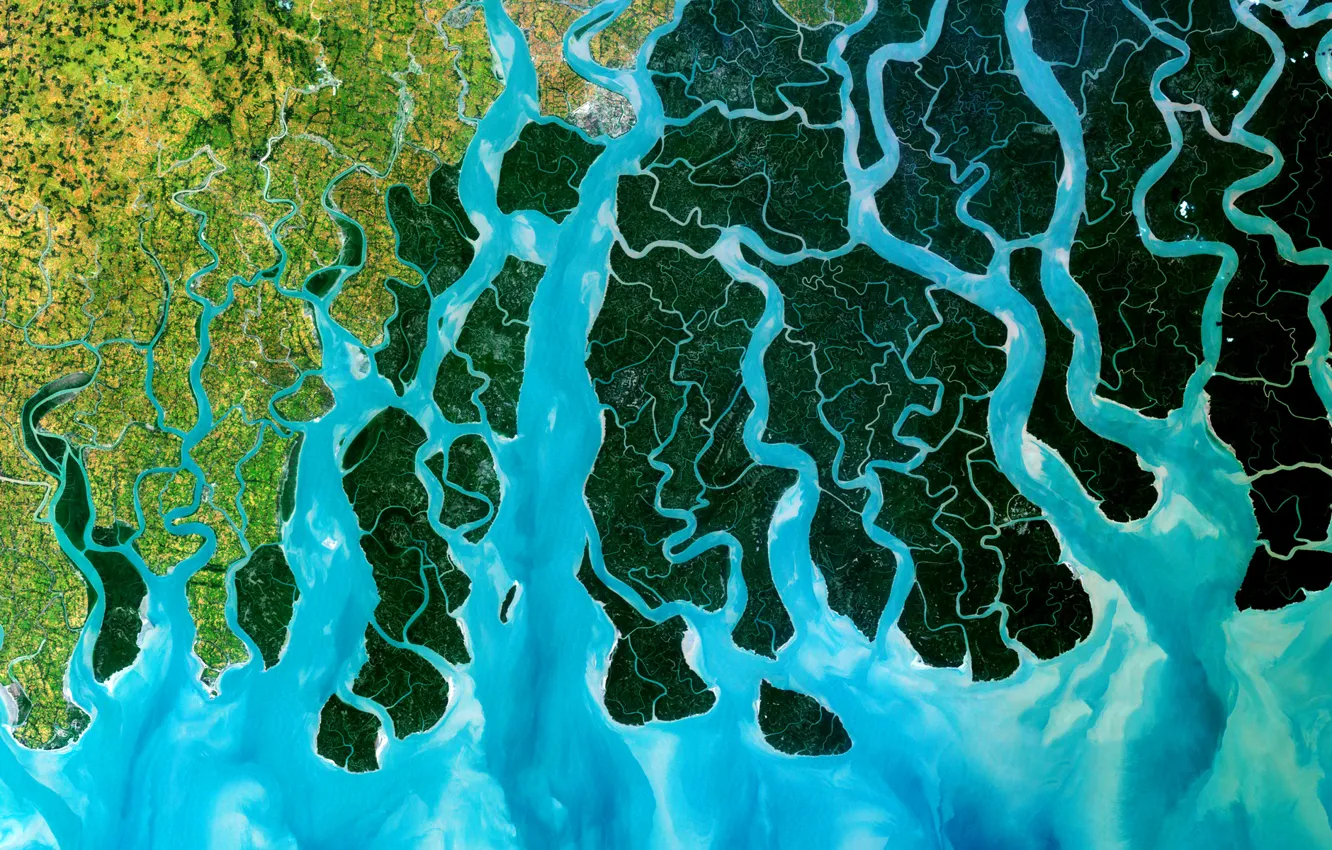 Photo wallpaper photo, satellite, India, the Ganges Delta, Bangladesh