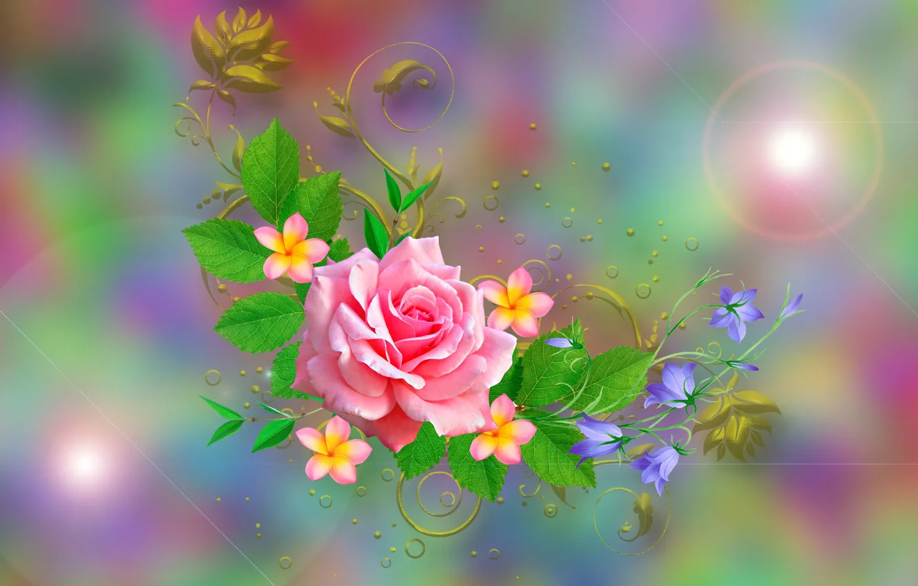 Photo wallpaper Graphics, Flowers