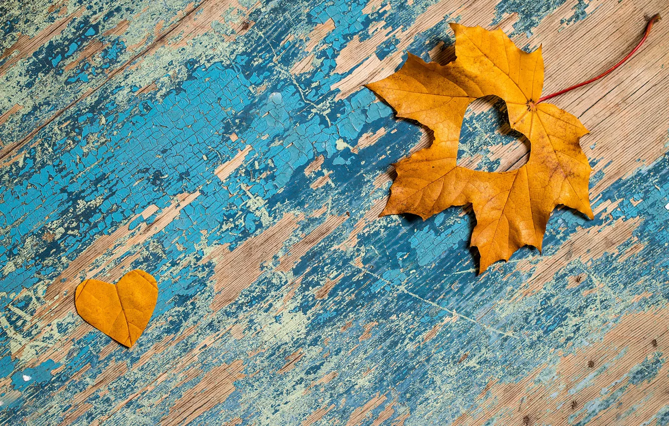 Photo wallpaper autumn, leaves, love, heart, love, maple, heart, yellow