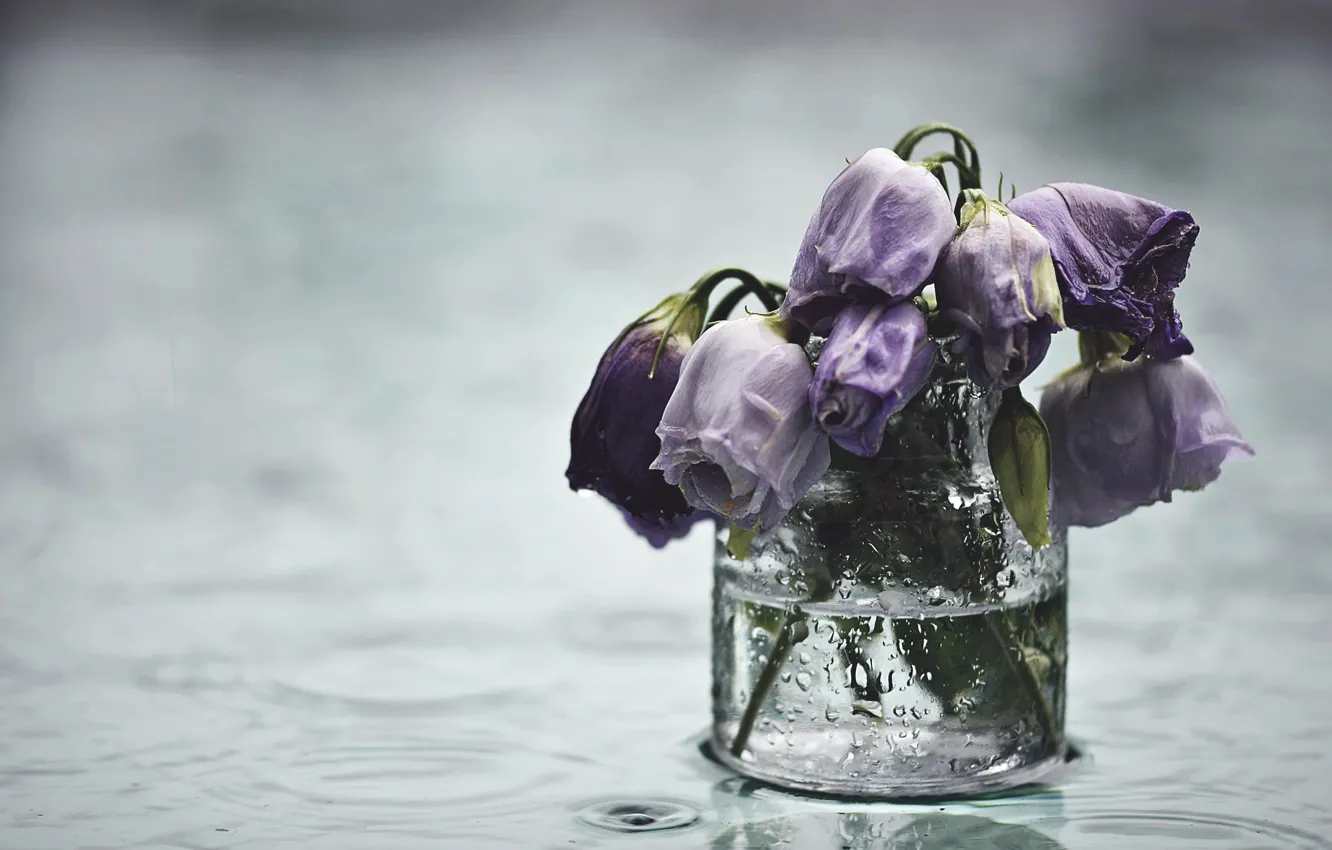 Photo wallpaper flowers, background, Bank