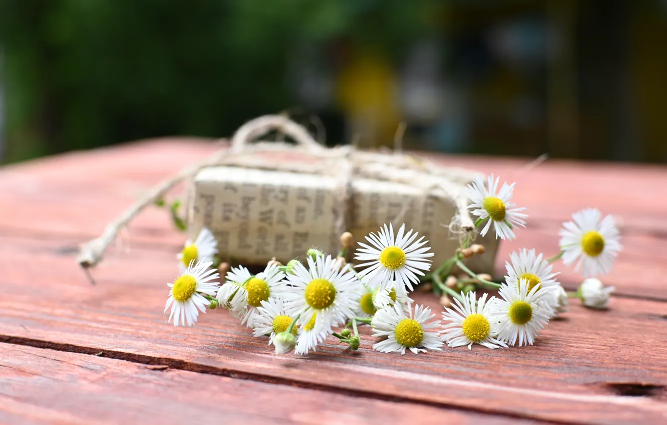 Photo wallpaper flowers, table, gift, Board, chamomile, rope, white, a bunch