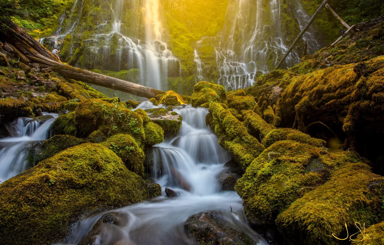 Photo wallpaper forest, nature, stones, waterfall, moss