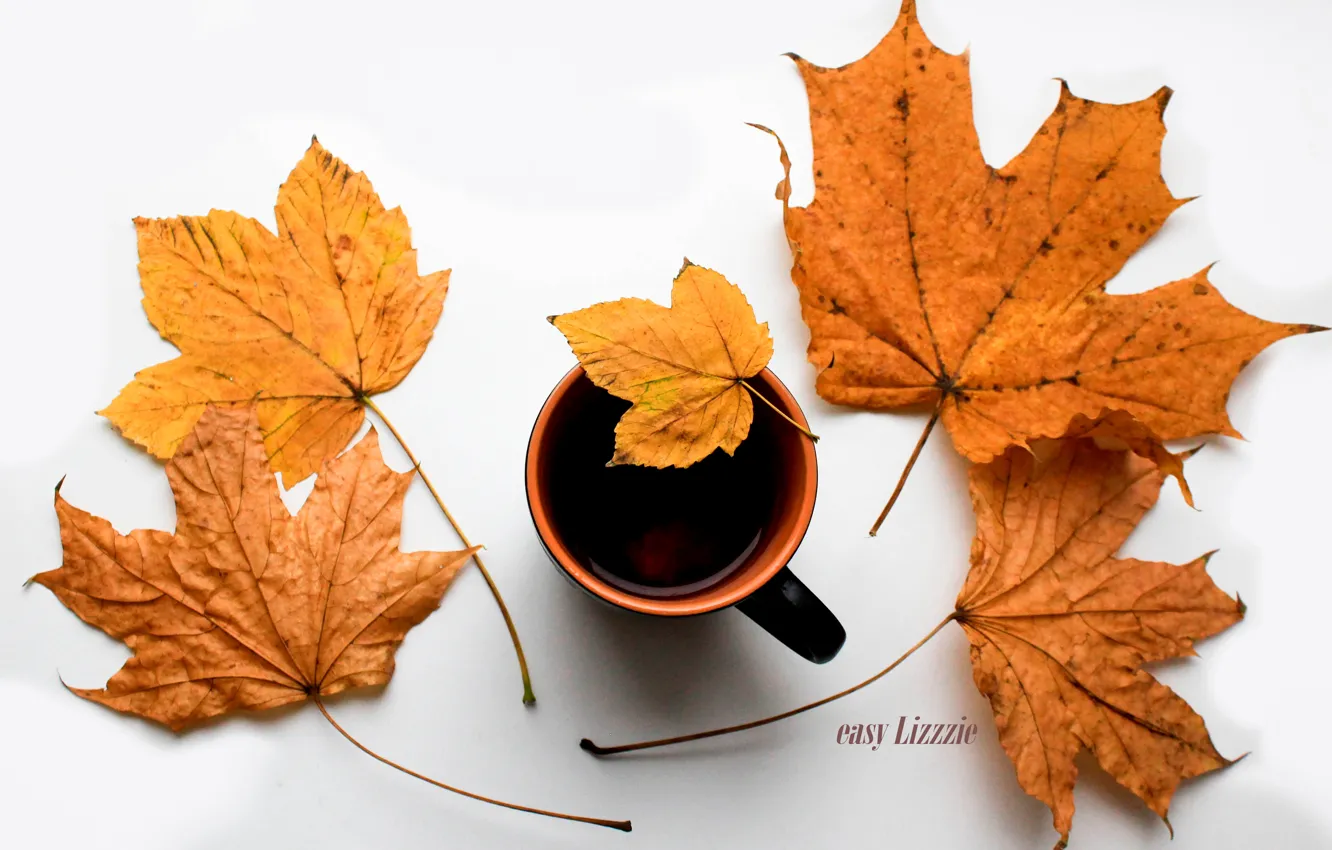Photo wallpaper autumn, tea, leaf, autmn, tree leaf, cup of tea
