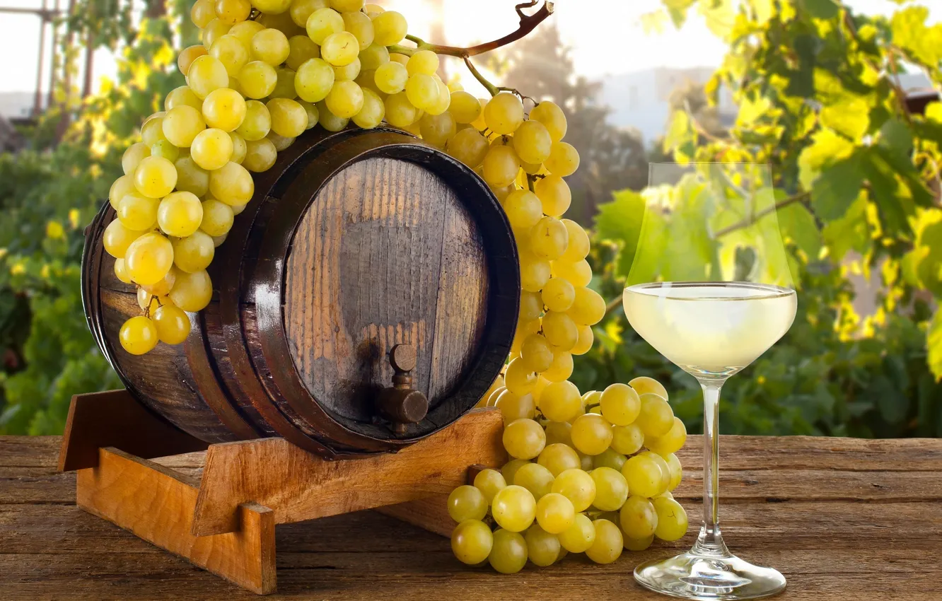 Photo wallpaper white, yellow, berries, wine, glass, grapes, drink, barrel
