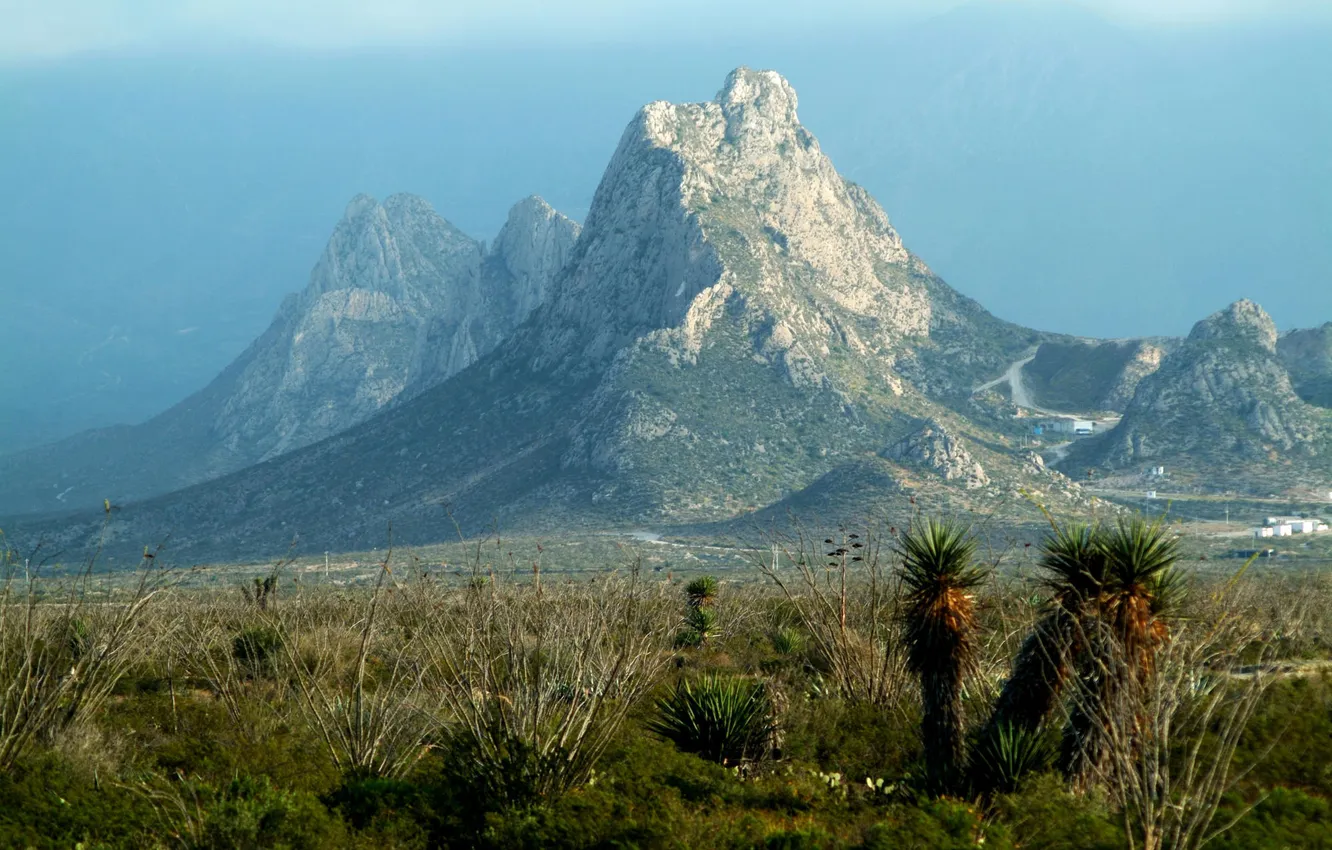 Photo wallpaper mountains, cactus, Mexico, Mexico, the village, Mina, New Leon