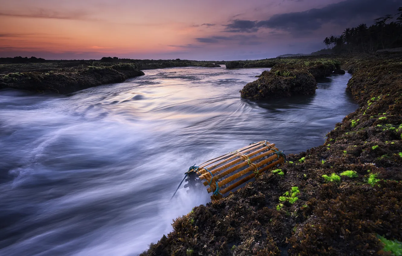 Photo wallpaper sea, sunset, shore