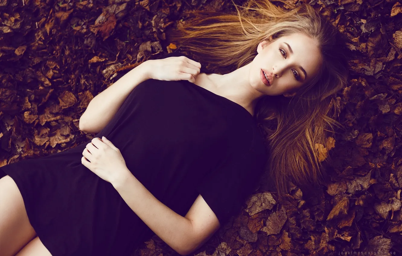 Photo wallpaper autumn, leaves, girl, lies, beautiful, redhead, the view from the top, Isabelle