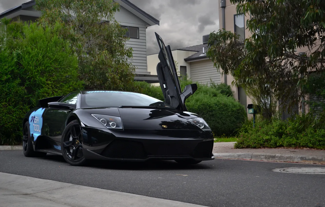 Photo wallpaper trees, black, building, lamborghini, black, front view, murcielago, Lamborghini