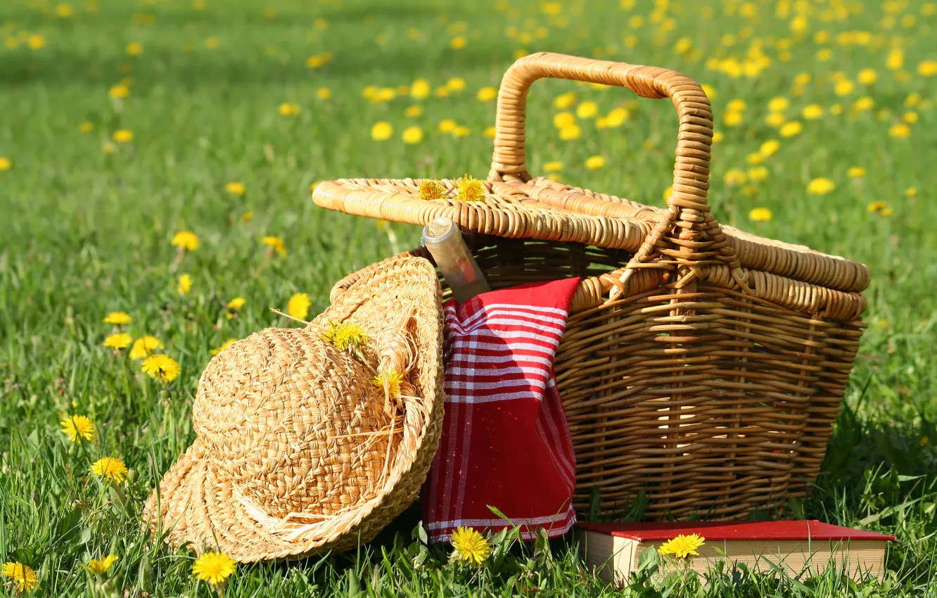 Photo wallpaper summer, the sky, grass, glade, hat, beautiful, Sunny, basket
