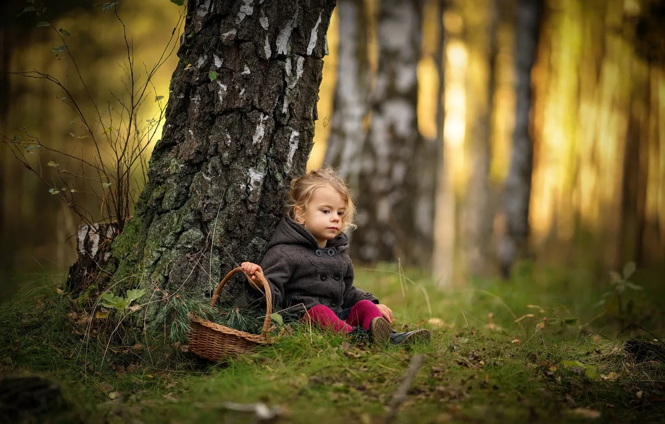 Photo wallpaper autumn, forest, trees, branches, nature, trunks, basket, girl
