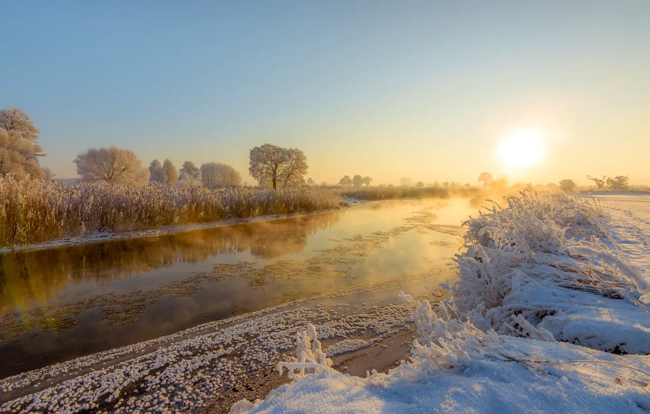 Photo wallpaper winter, frost, the sky, the sun, light, snow, trees, fog