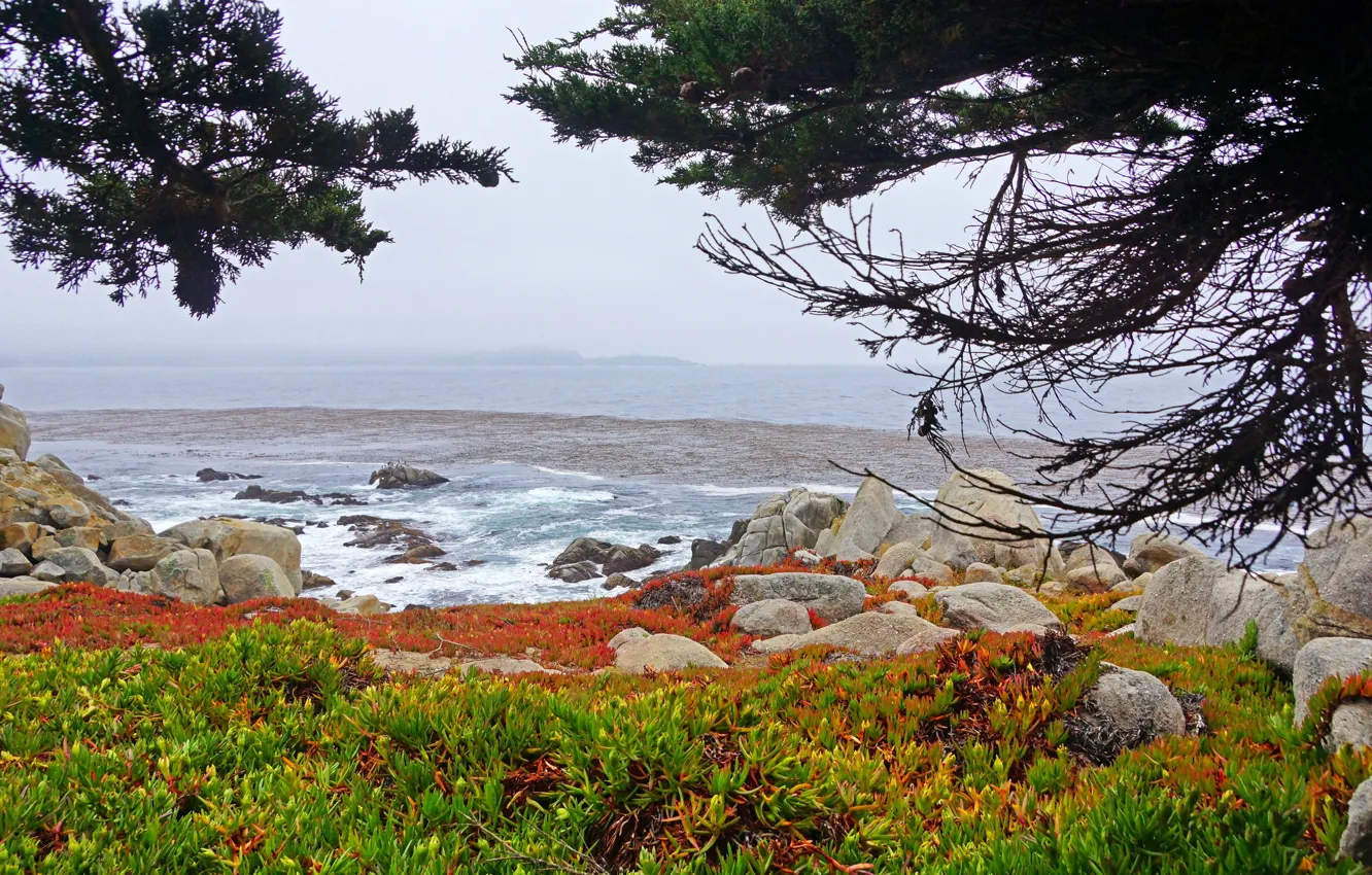 Photo wallpaper USA, coast, California, nature.