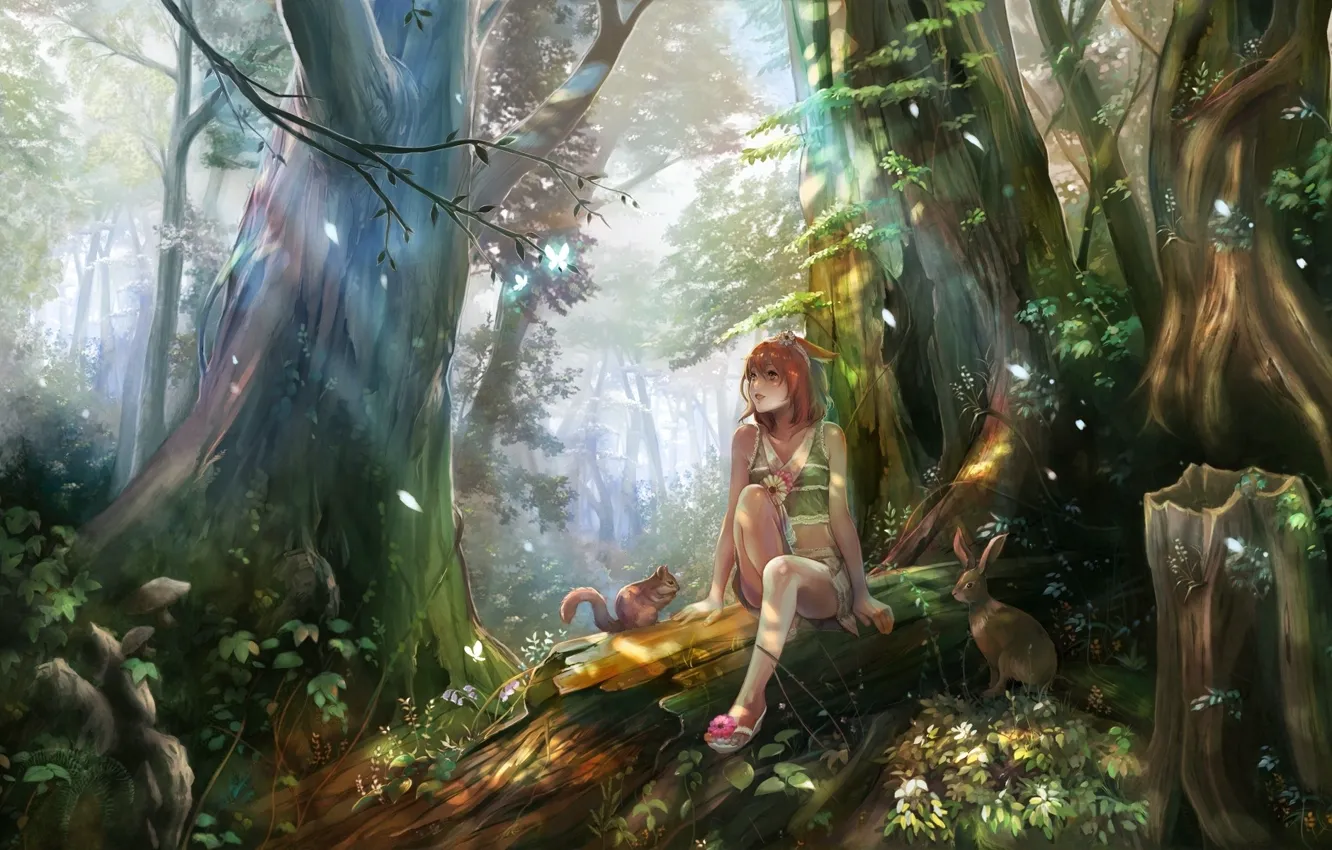 Photo wallpaper forest, summer, light, hare, protein, Girl, log, moth