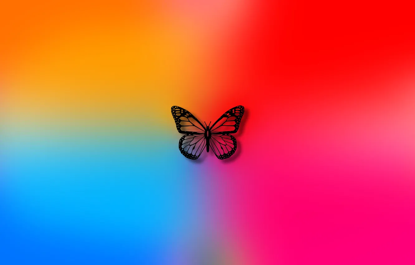 Photo wallpaper color, background, butterfly, colors, art, wallpaper, butterfly