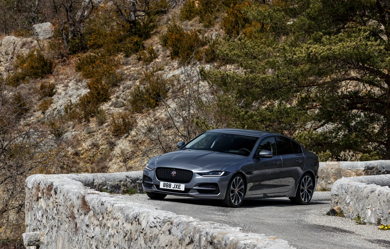 Photo wallpaper vegetation, Jaguar, slope, 2020, gray-silver, Jaguar XE