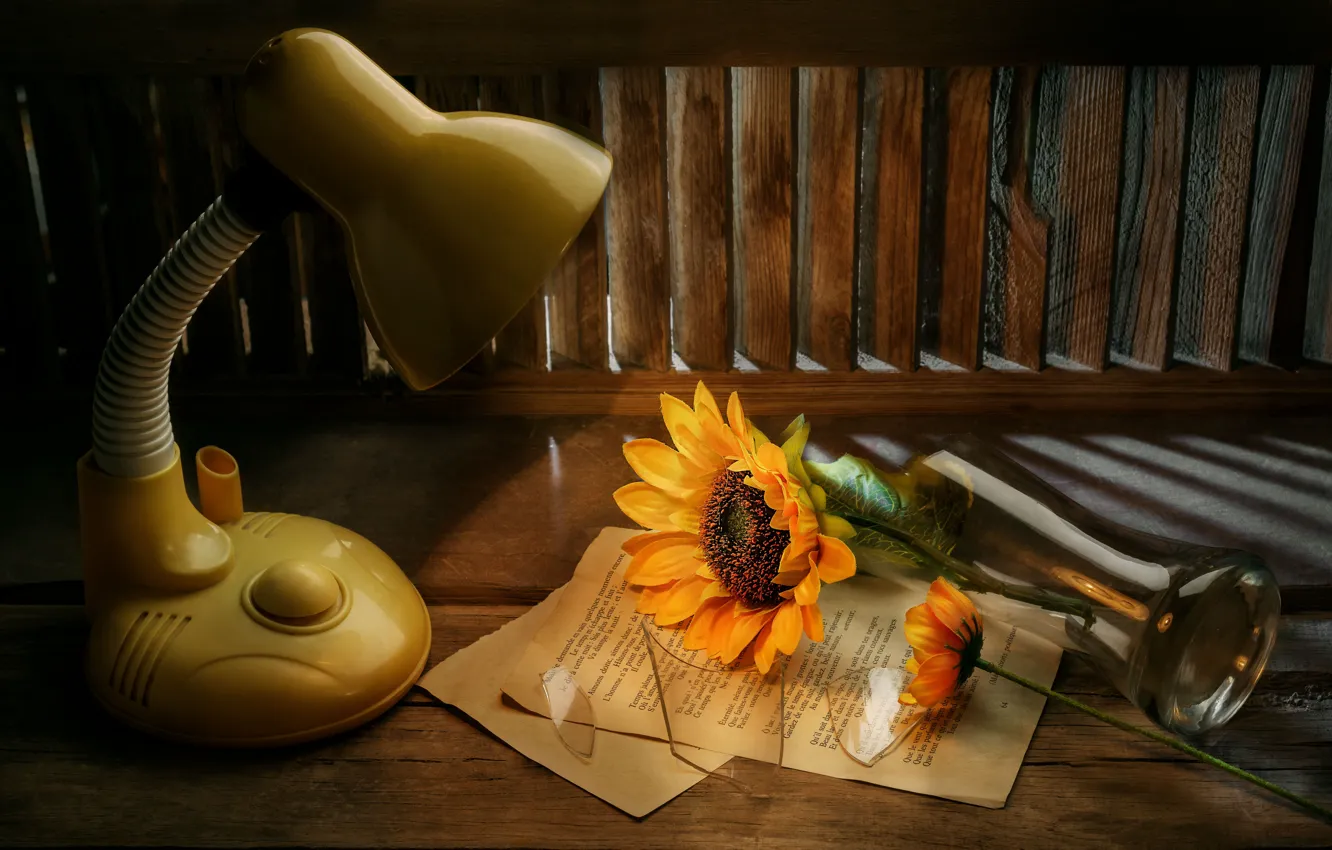 Photo wallpaper glass, light, sunflowers, flowers, yellow, strip, table, Board