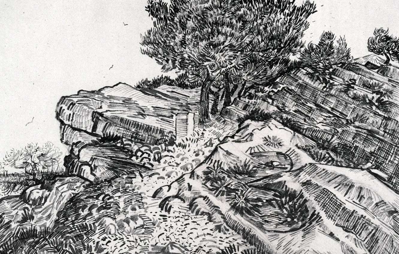 Photo wallpaper trees, slope, Vincent van Gogh, Montmajour