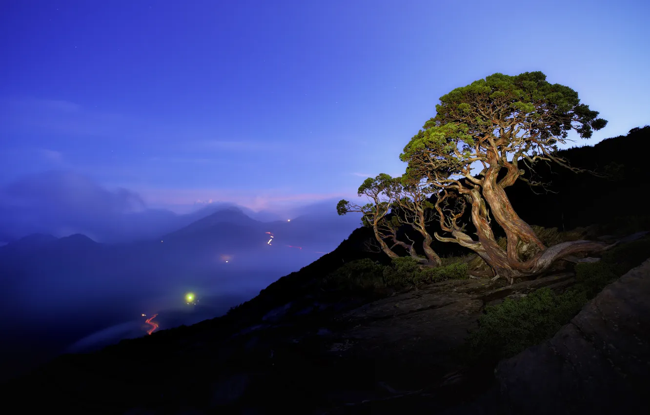 Photo wallpaper road, the sky, light, trees, mountains, night, lights