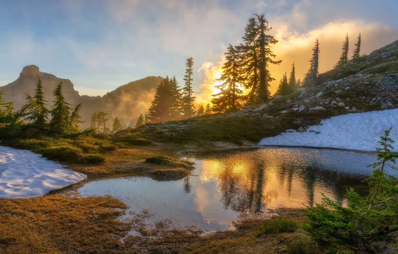 Photo wallpaper forest, snow, sunset, lake