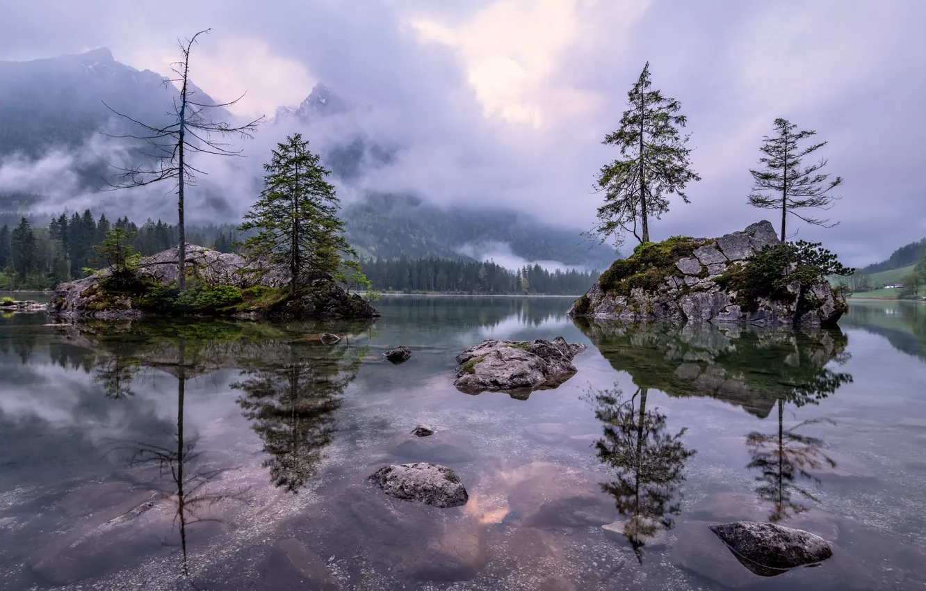 Photo wallpaper forest, water, trees, mountains, fog, lake