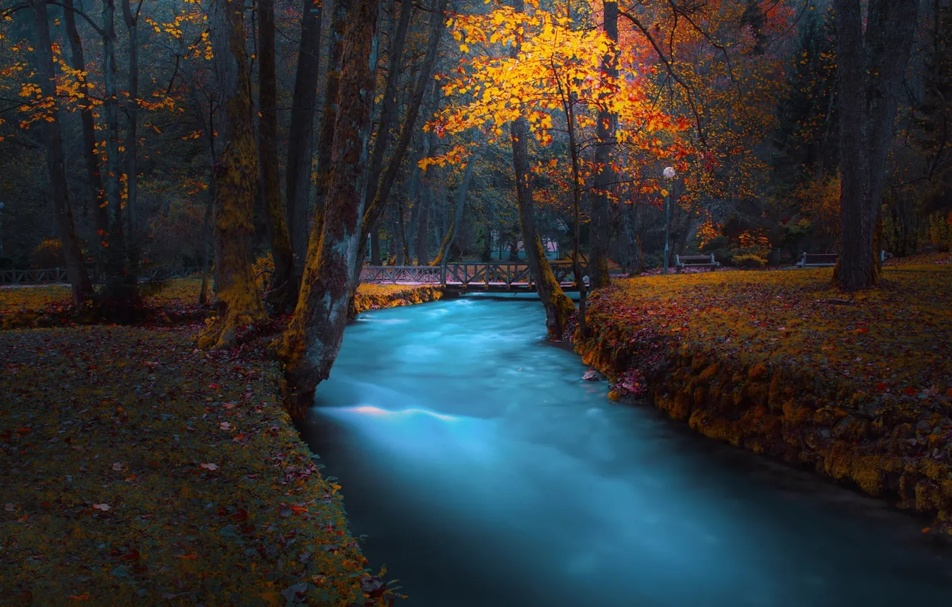 Photo wallpaper autumn, forest, trees, landscape, bench, nature, Park, river