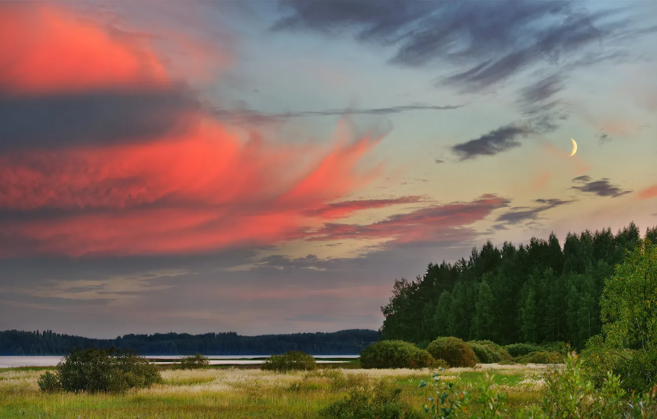 Photo wallpaper field, forest, the sky, clouds, sunset, the moon, dal, a month