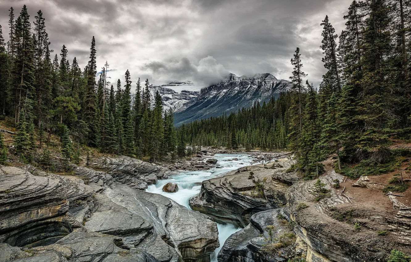 Photo wallpaper forest, clouds, mountains, river, stones, overcast, rocks, stream