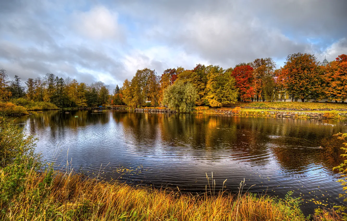 Photo wallpaper autumn, grass, trees, nature, river, photo, Russia
