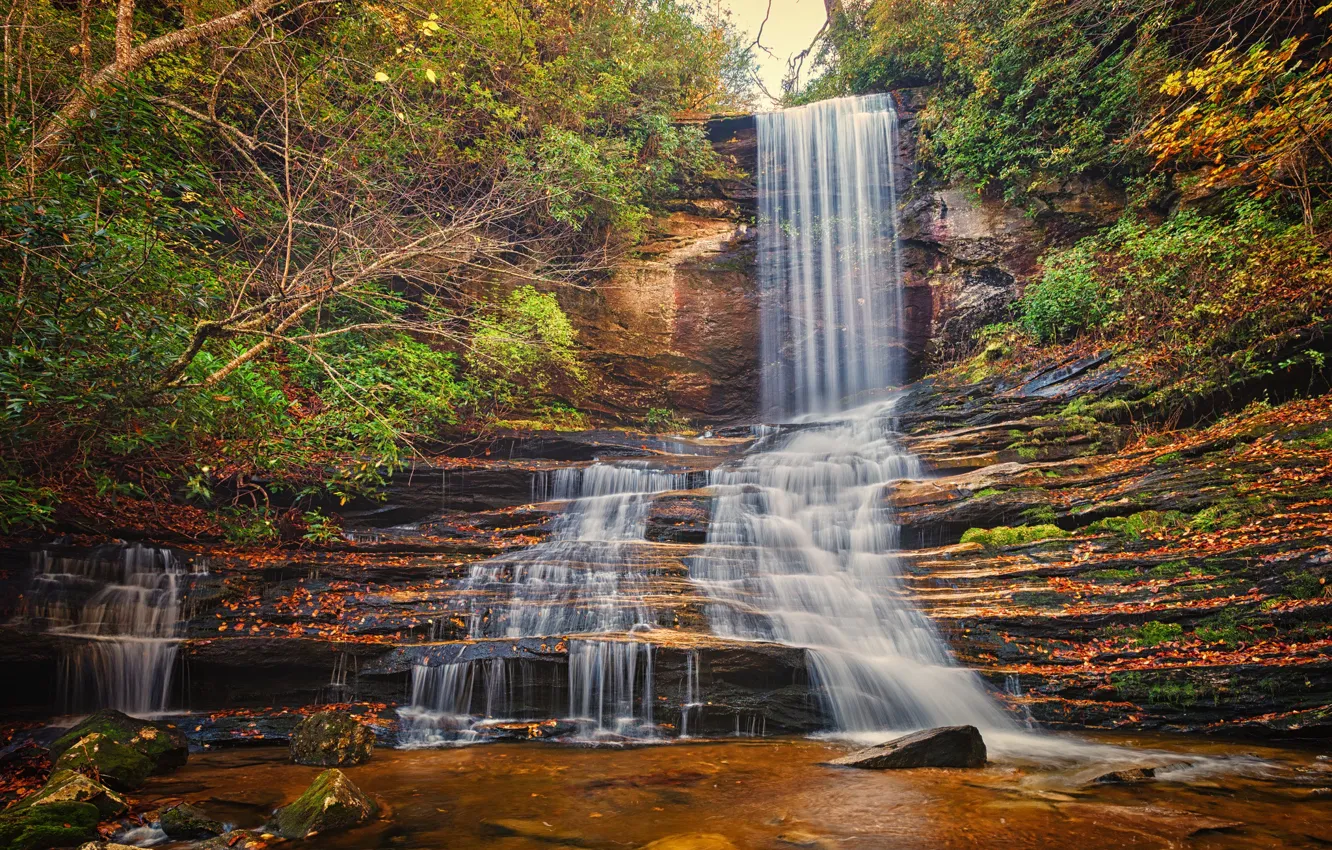 Photo wallpaper forest, rocks, waterfall