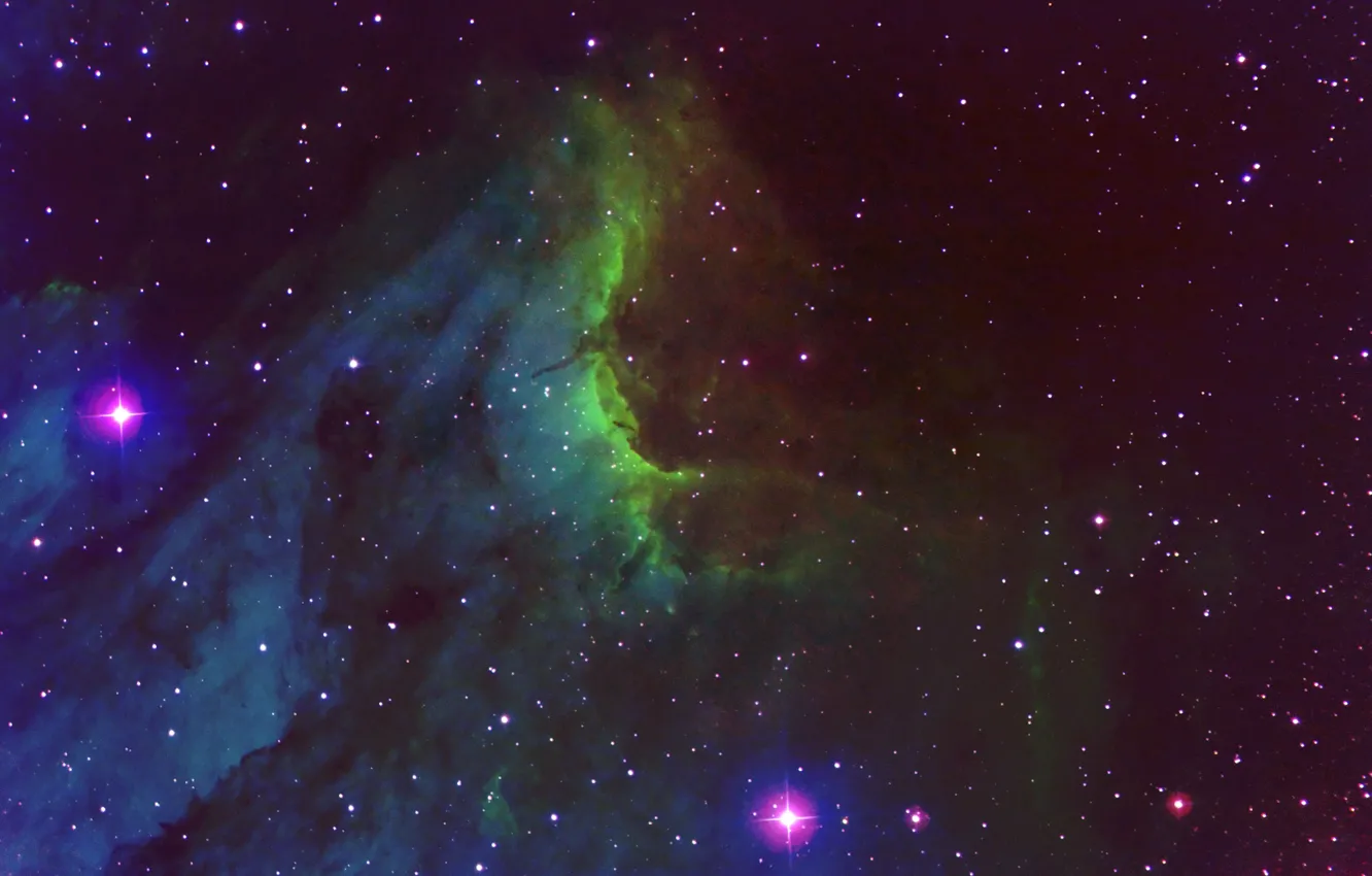 Photo wallpaper nebula, in the constellation, Swan, Pelican