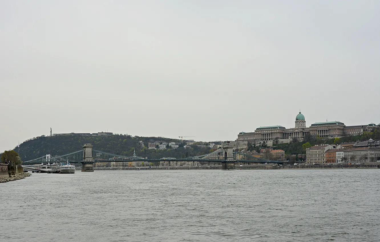 Photo wallpaper bridge, bridge, Hungary, Hungary, Budapest, The Danube, Budapest, Danube