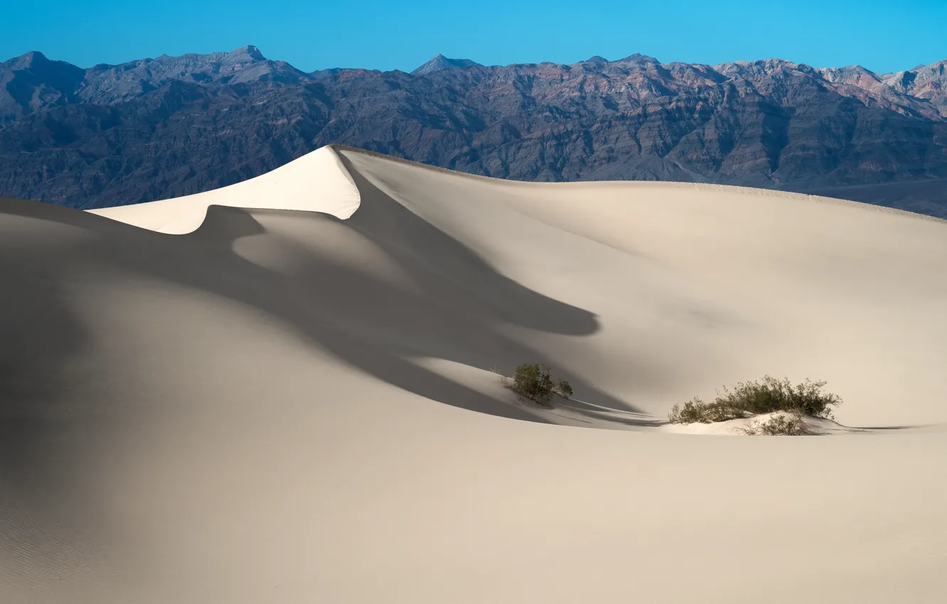 Photo wallpaper sand, desert, dunes, USA, California, Death Valley National Park