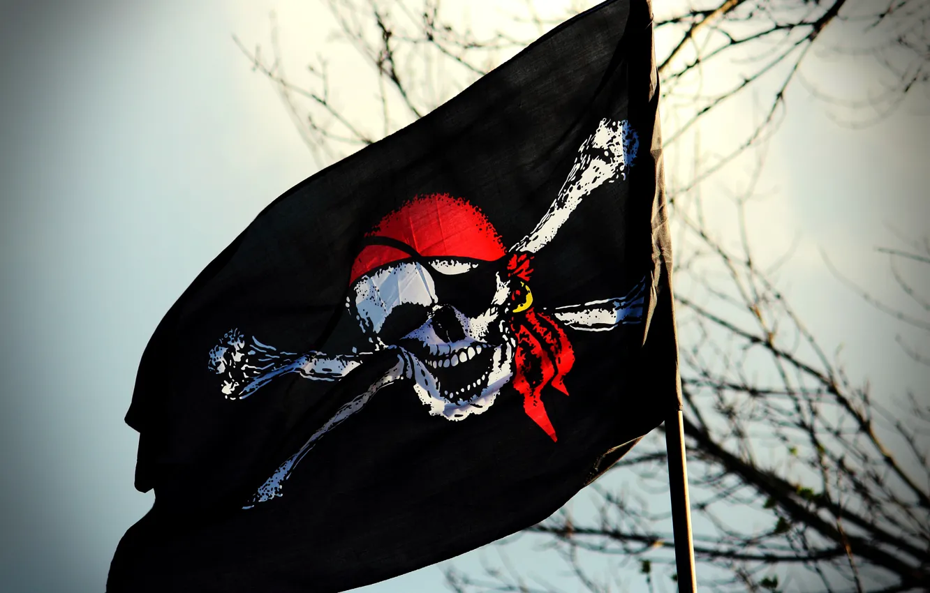 Photo wallpaper skull, flag, pirate, Jolly Roger