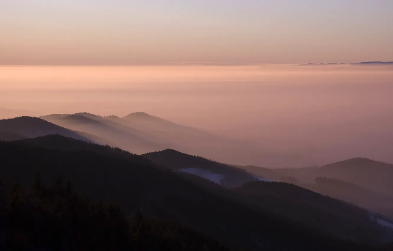 Photo wallpaper forest, the sky, mountains, fog