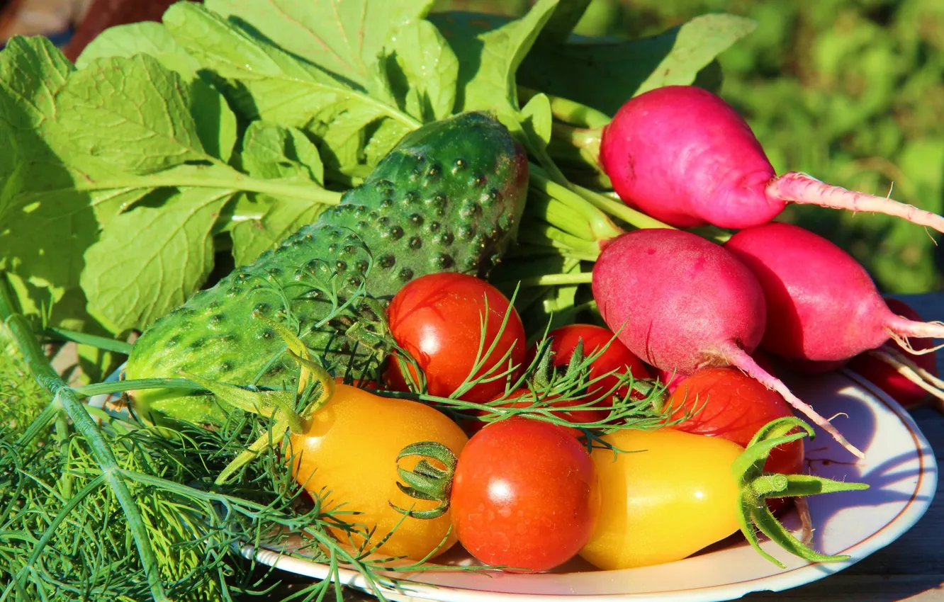 Photo wallpaper vegetables, cucumbers, radishes