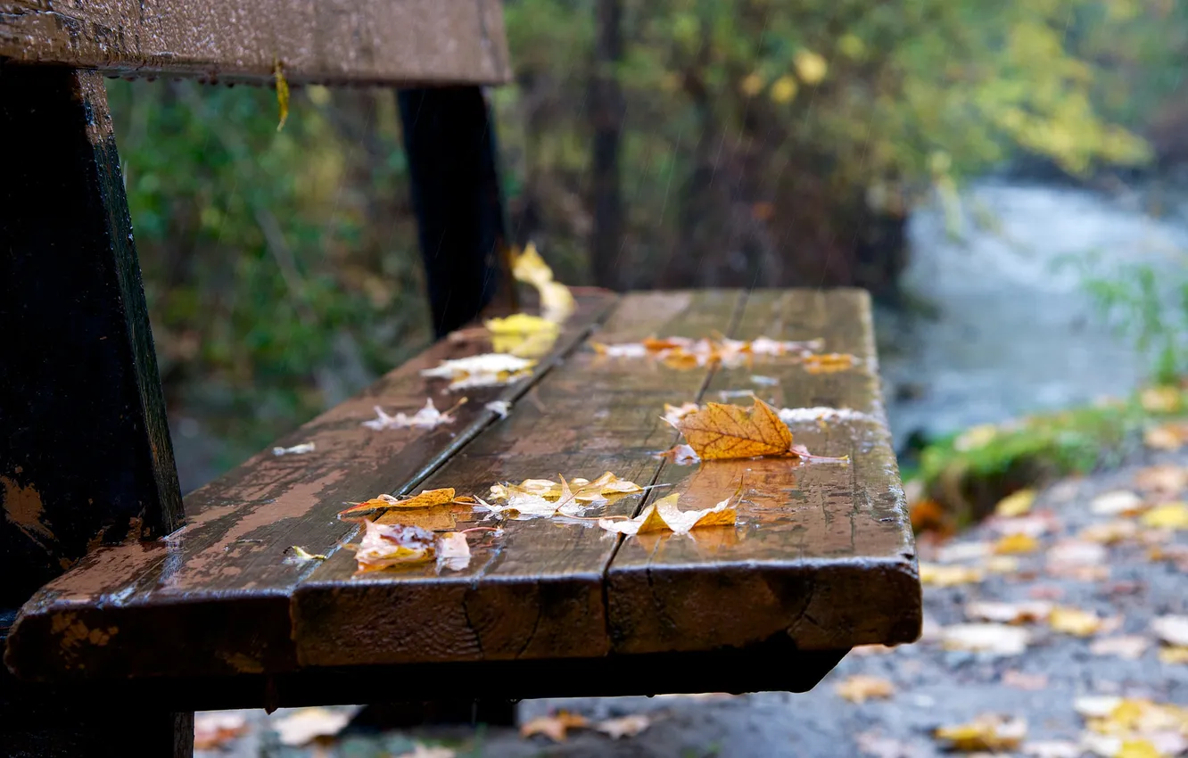 Photo wallpaper autumn, leaves, bench