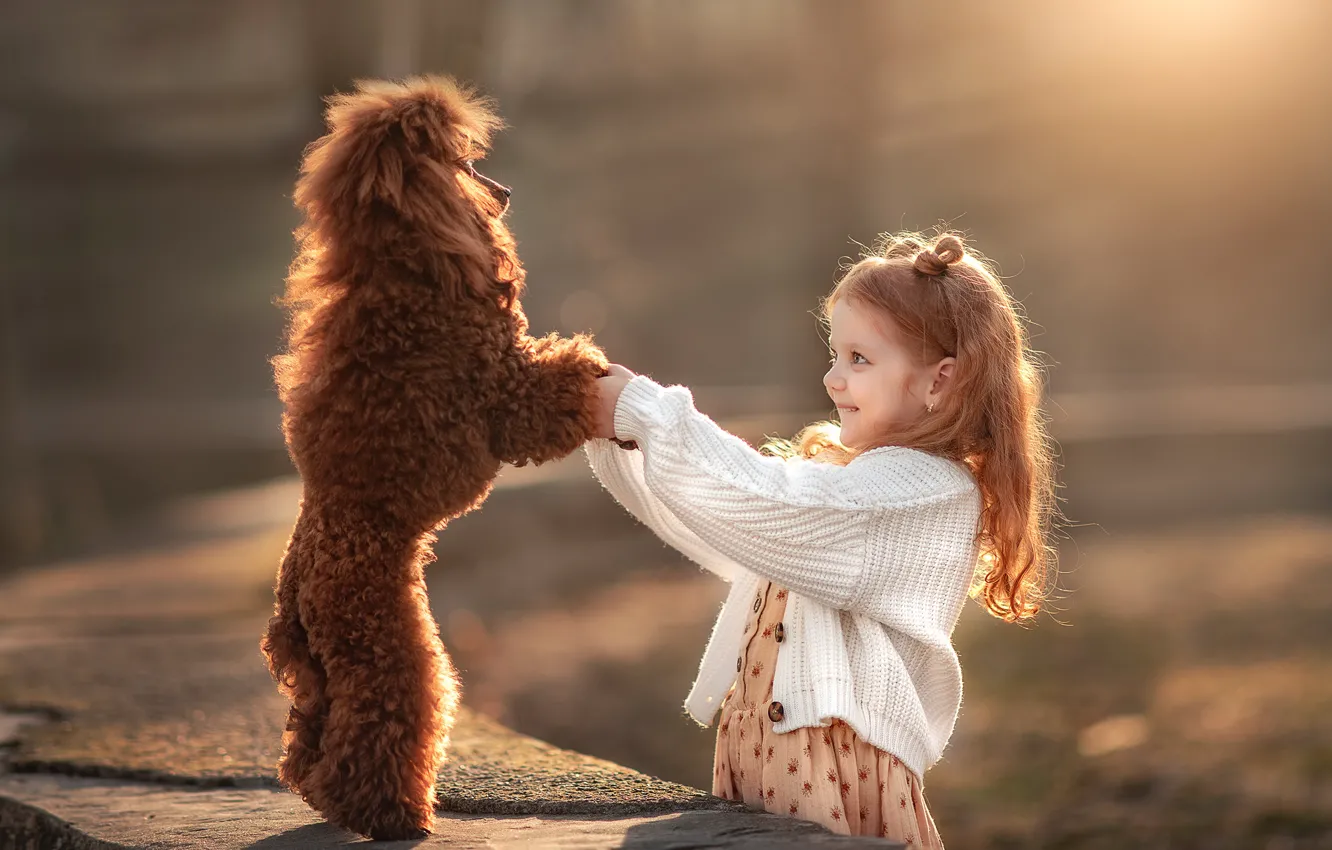 Photo wallpaper look, smile, dog, girl, poodle