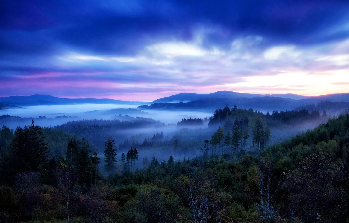 Photo wallpaper forest, the sky, clouds, landscape, sunset, mountains, nature, fog