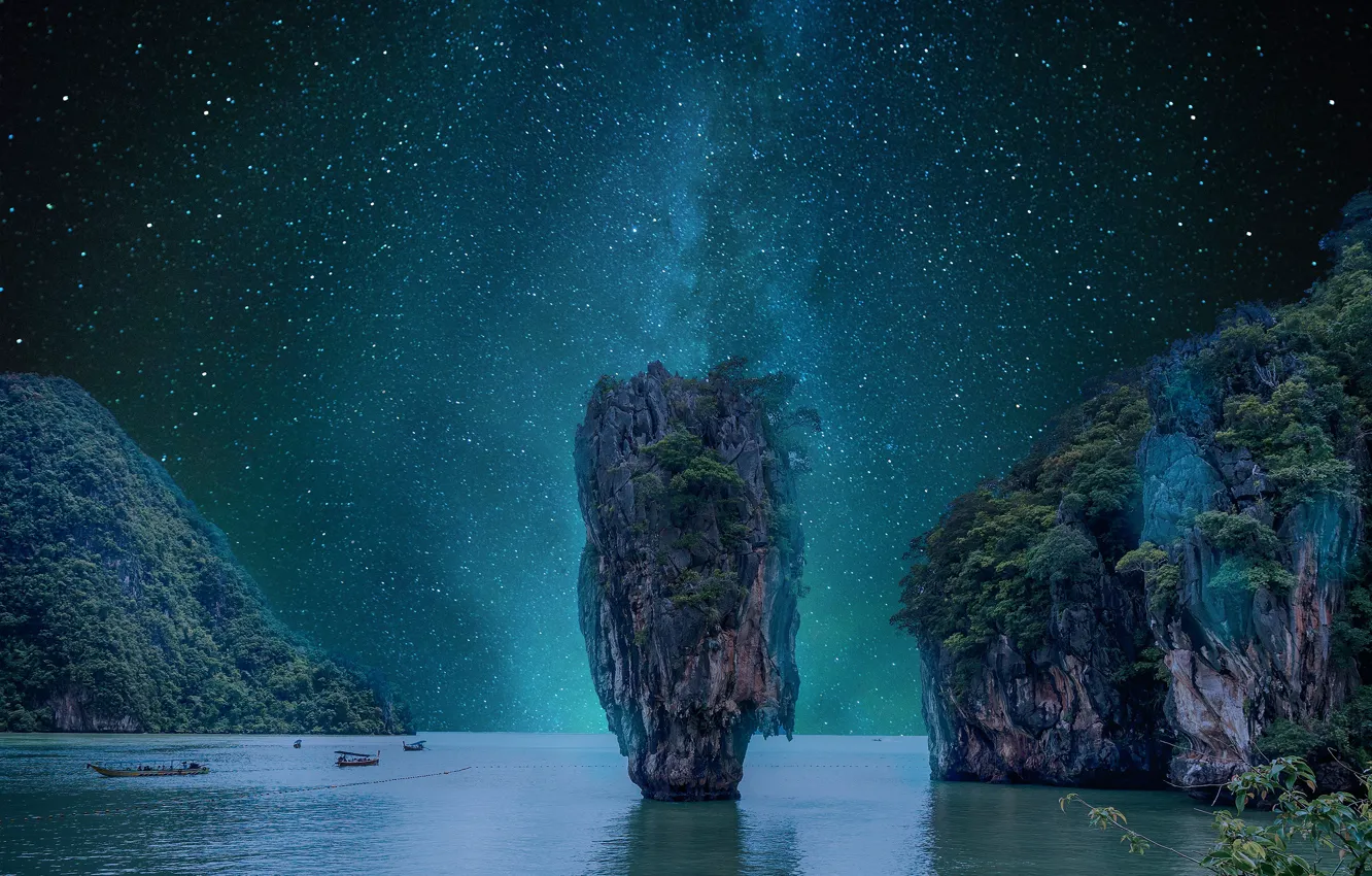 Photo wallpaper sea, the sky, space, stars, trees, night, rocks, vegetation