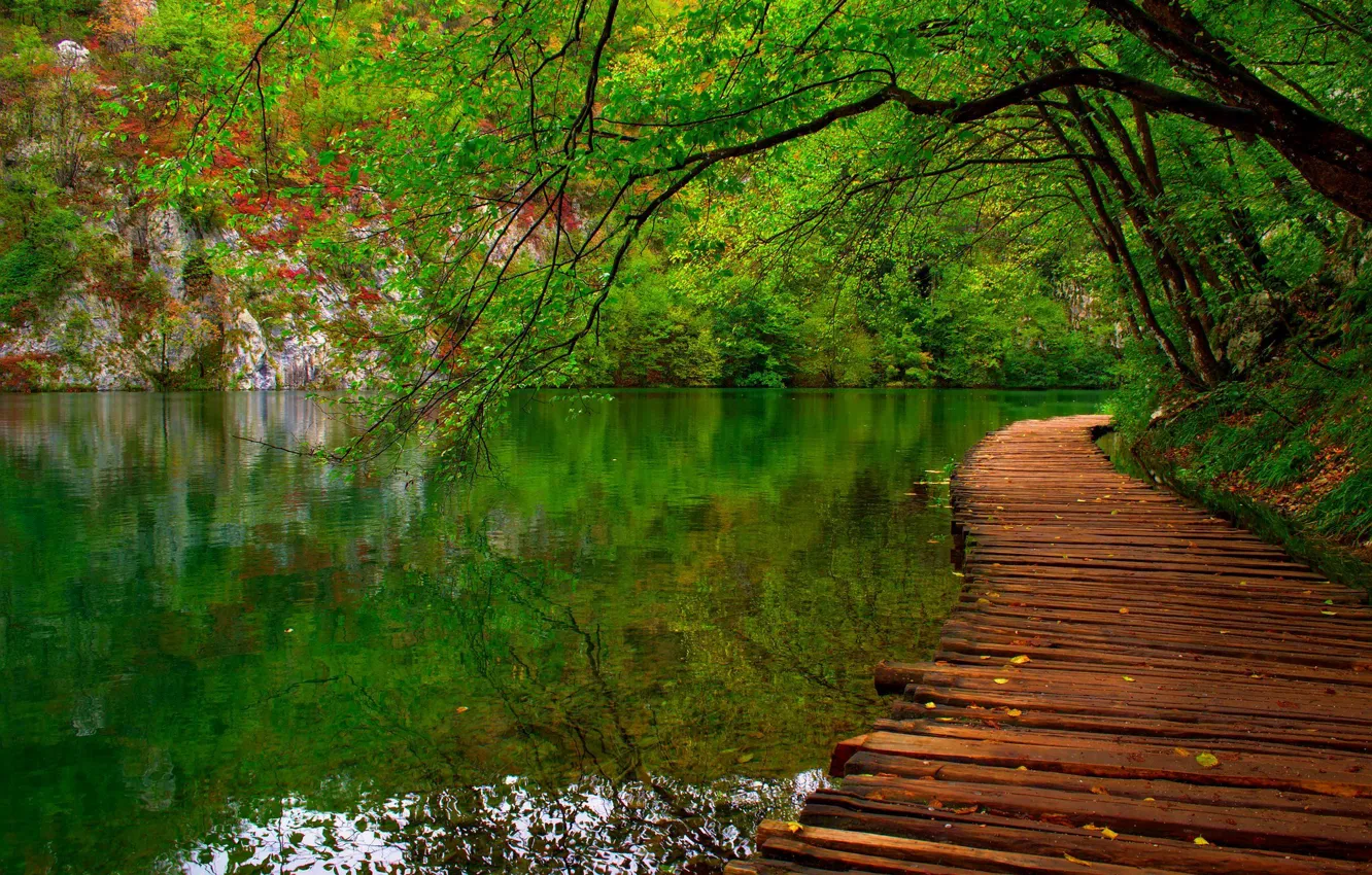 Photo wallpaper forest, leaves, water, trees, mountains, nature, Park, river