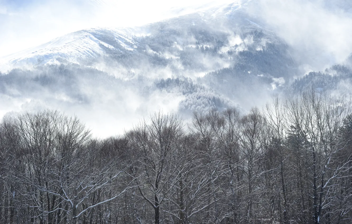 Photo wallpaper winter, mountain, snow, kentucky