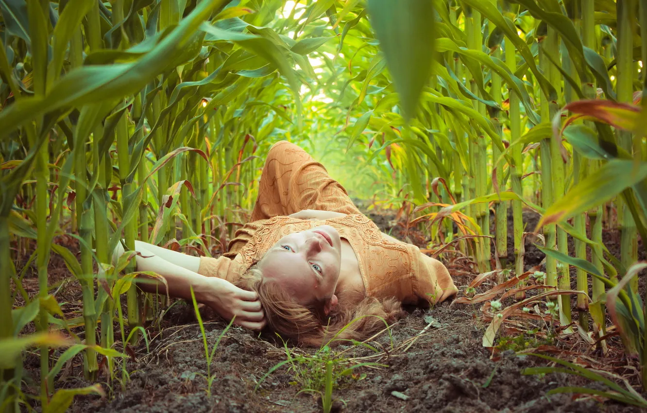 Photo wallpaper girl, nature, corn