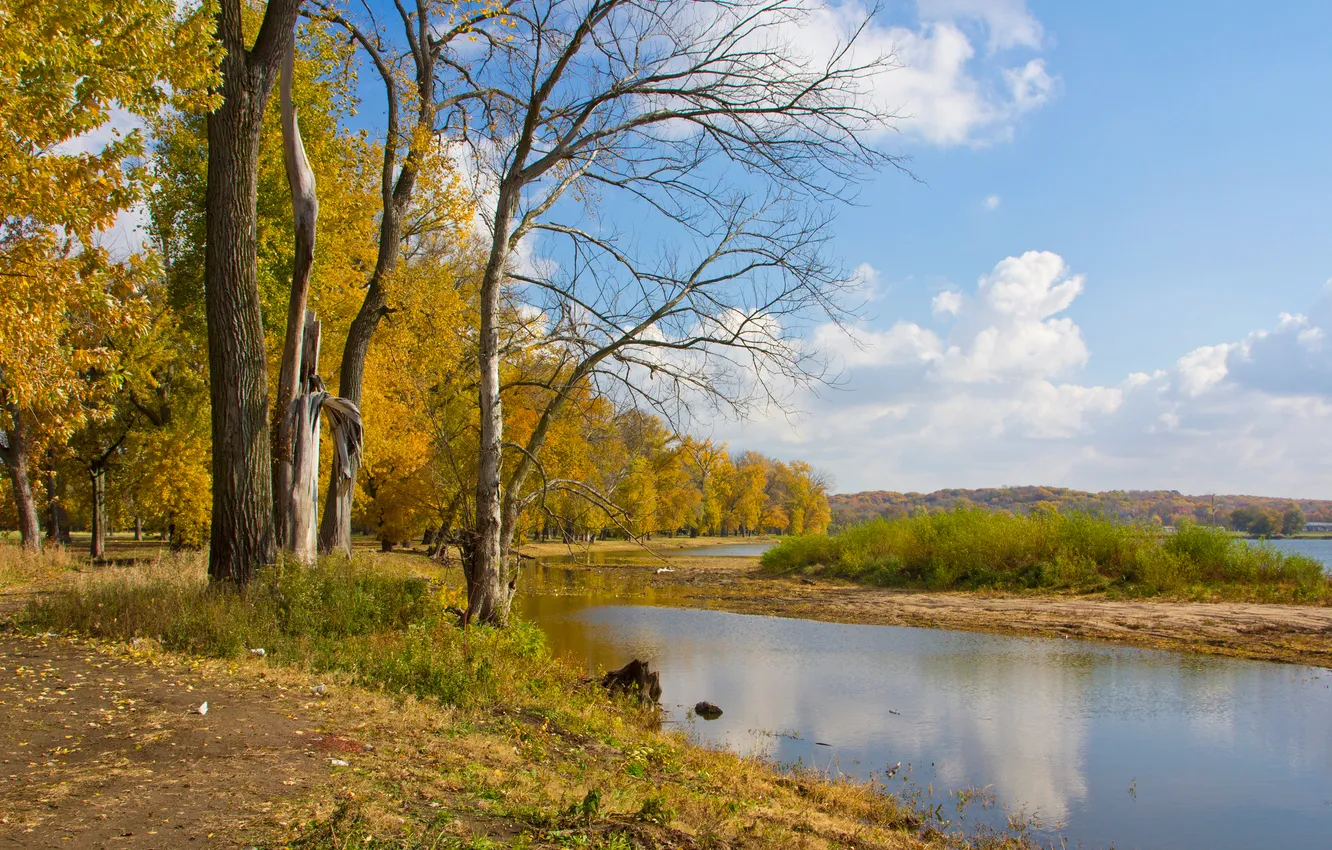 Photo wallpaper autumn, the sky, clouds, trees, river, island