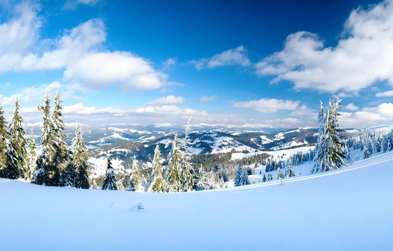 Photo wallpaper winter, the sky, the sun, rays, snow, mountains, tree, day